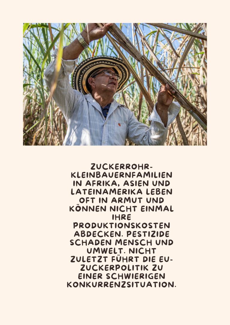 Fairtrade Zuckerrohr Fairtrade